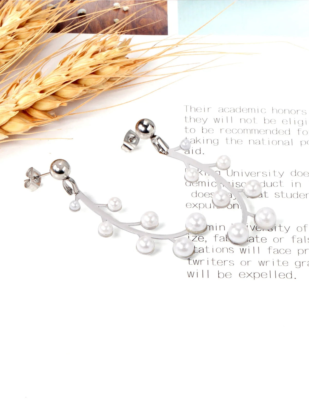 Stainless Steel Diamond Earrings